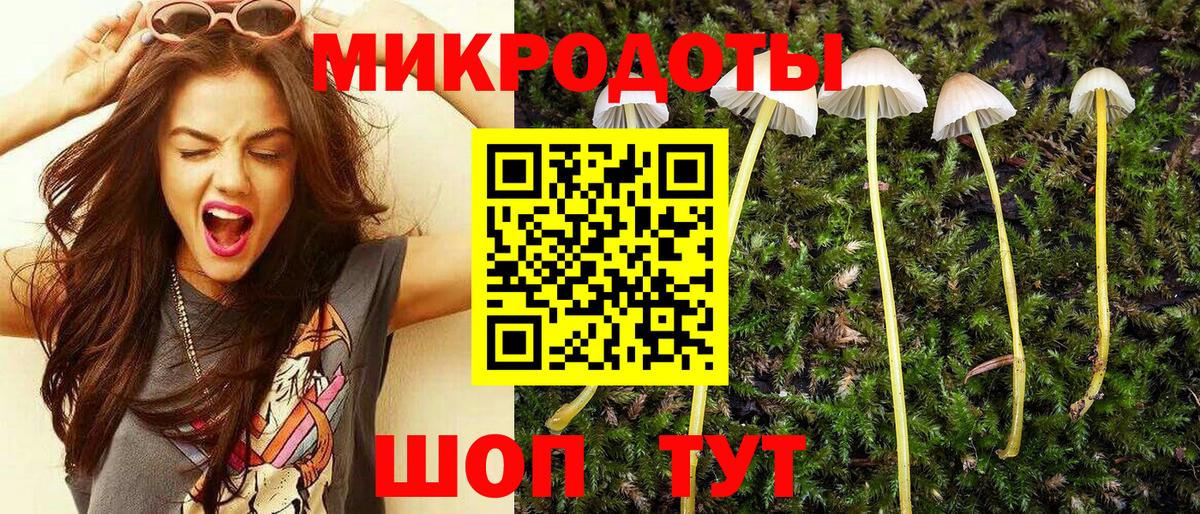 Псилоцибиновые грибы GOLDEN TEACHER Малгобек