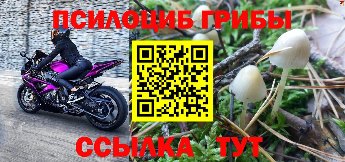 Галлюциногенные грибы ЛСД  Псилоцибиновые грибы Cubensis  Вход с VPN  наркотики  Малгобек 